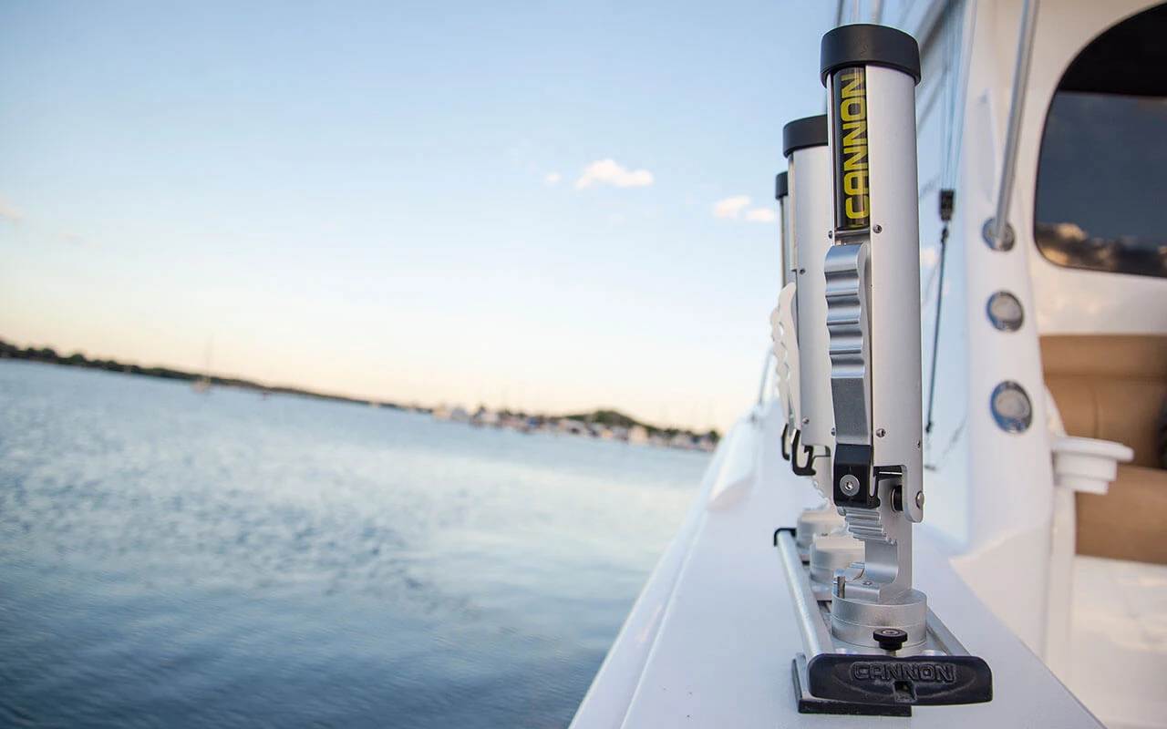 Rod Trees Sales Shop -Rod Trees Sales Shop 2